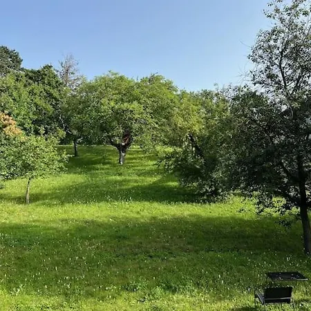 Beletage Johann Strauss Klosterneuburg