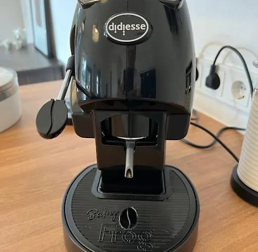 Lägenhet Beletage Johann Strauss Klosterneuburg