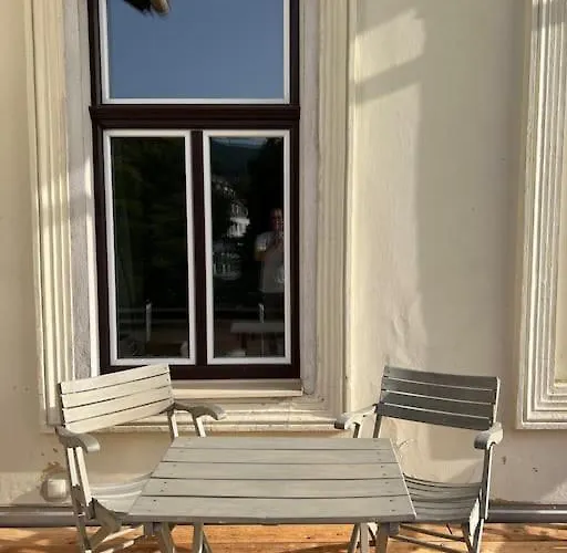 Lägenhet Beletage Johann Strauss Klosterneuburg